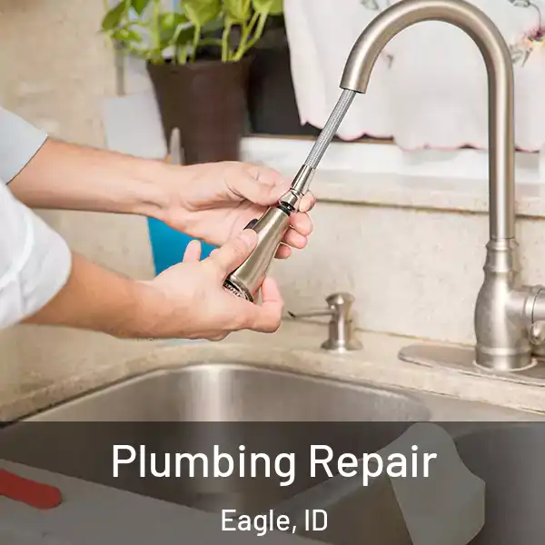  Plumbing Repair Eagle, ID