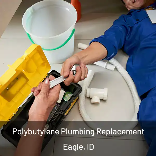  Polybutylene Plumbing Replacement Eagle, ID